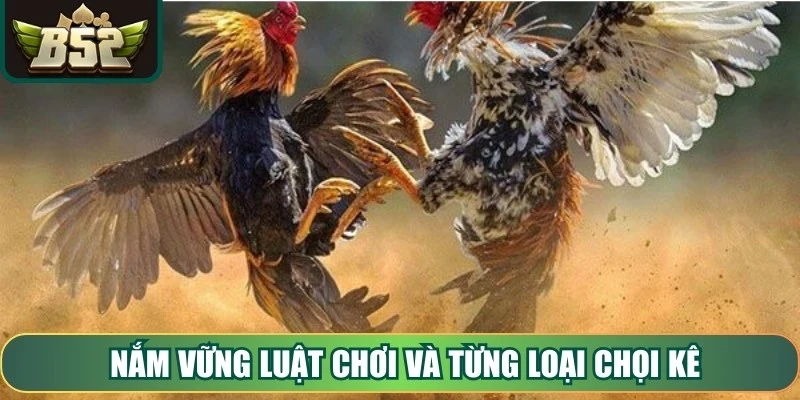 Nắm vững luật chơi và từng loại chọi kê chính là chìa khóa để chiến thắng